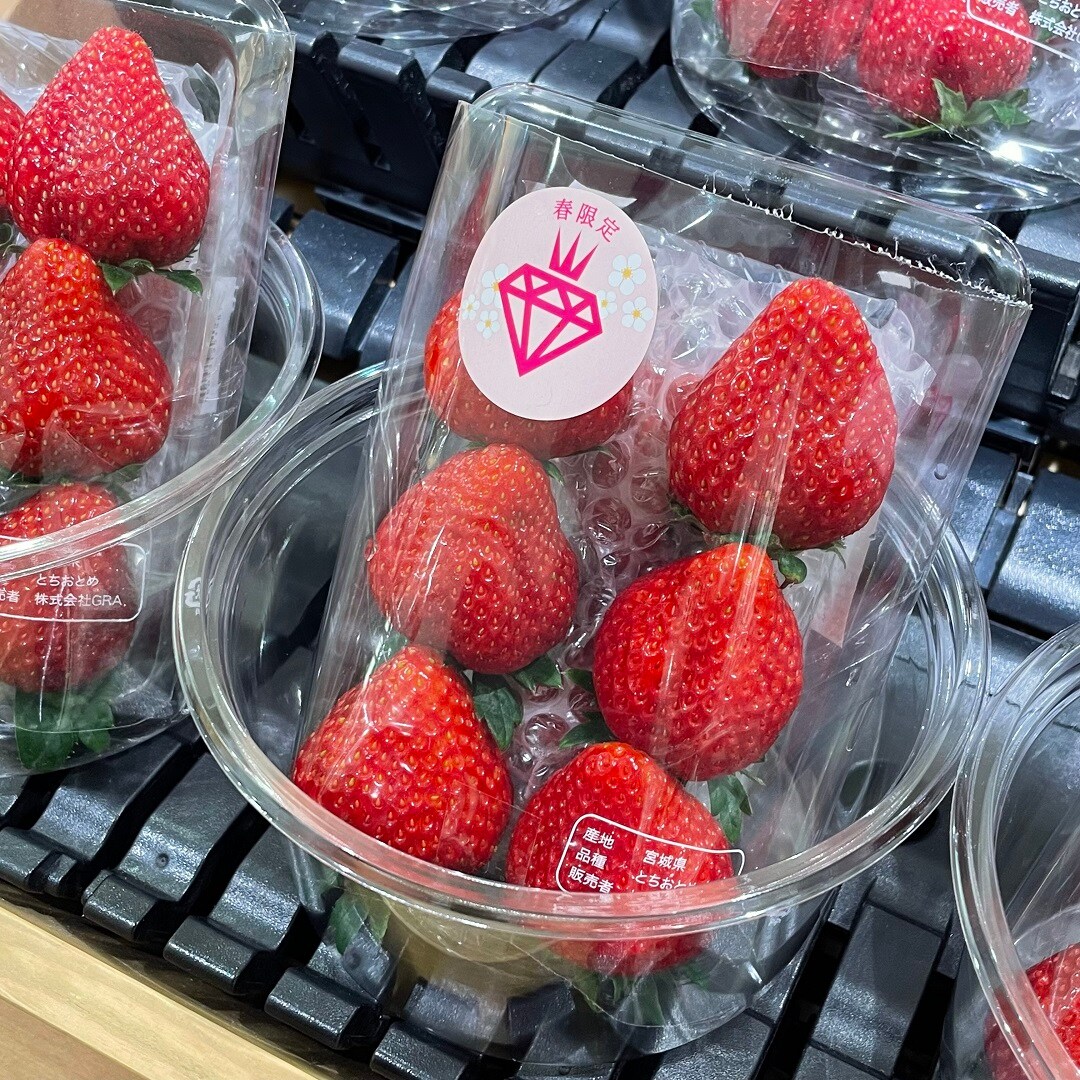 【港南台バーズ】白いコーン、ピュアホワイト | 港南台調査隊