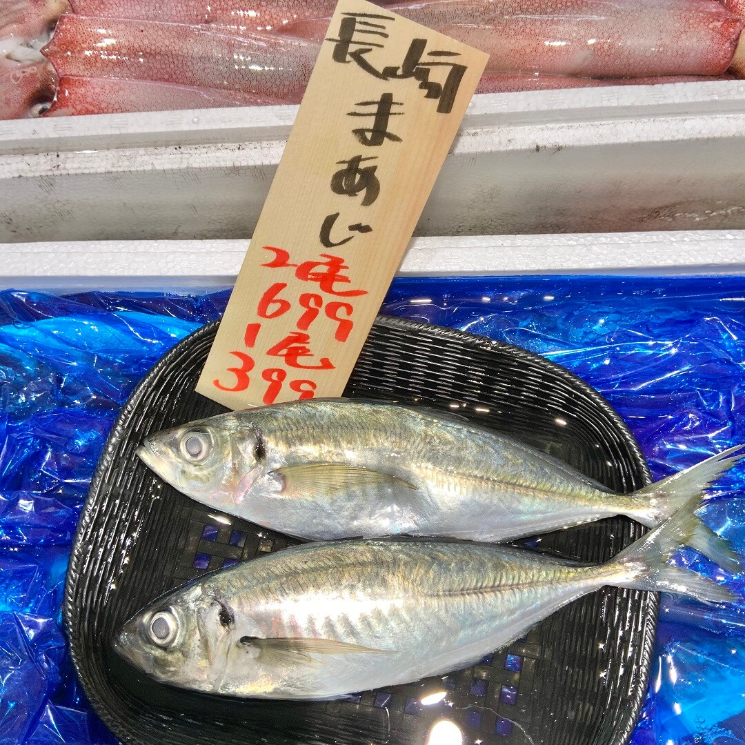 【港南台バーズ】三重県産 生かつお｜港南台調査隊