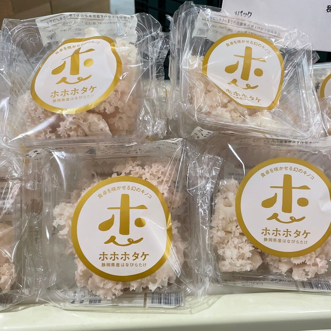 【港南台バーズ】コリコリ食感がおもしろい。静岡県産ホホホタケ | 港南台調査隊