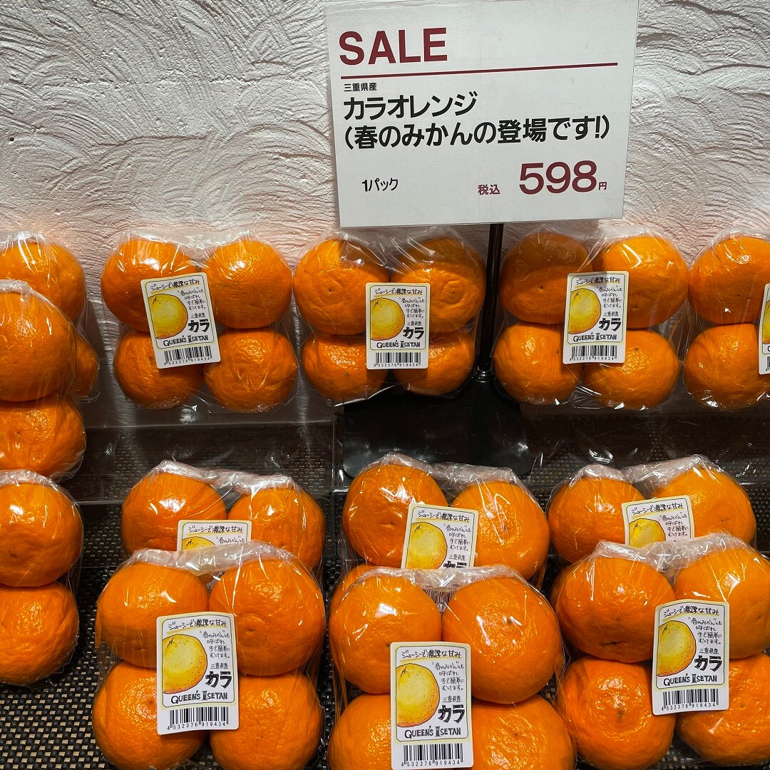 【港南台バーズ】 春のみかんと、春グルメ | 港南台調査隊