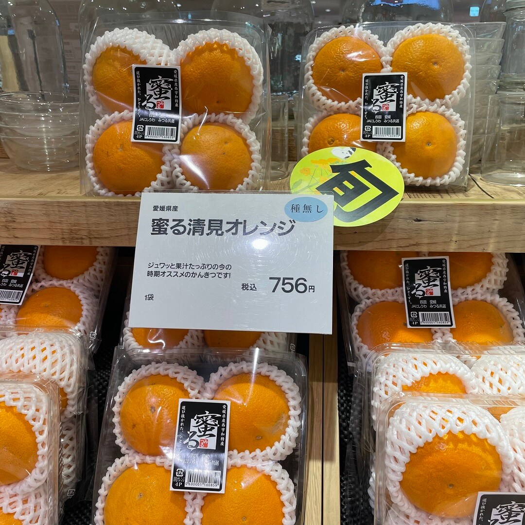 【港南台バーズ】 春のみかんと、春グルメ | 港南台調査隊