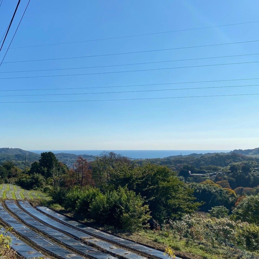 写真③