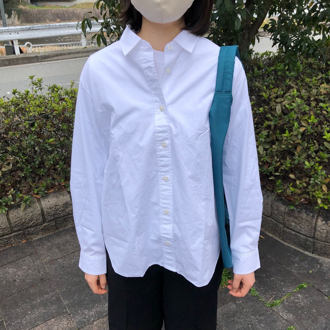 正面の写真