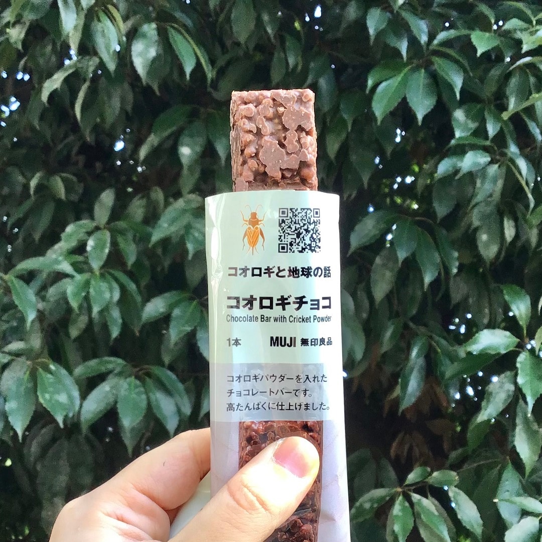 【近鉄四日市】実は、コオロギなんです。｜スタッフのおすすめ