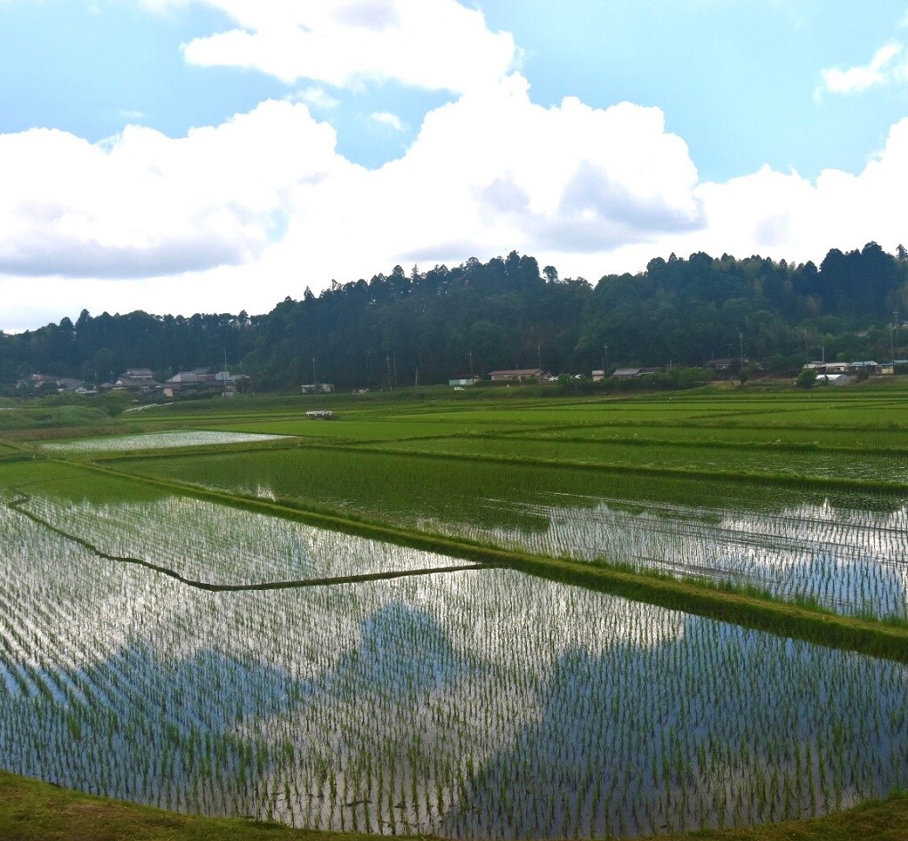 20220630風景
