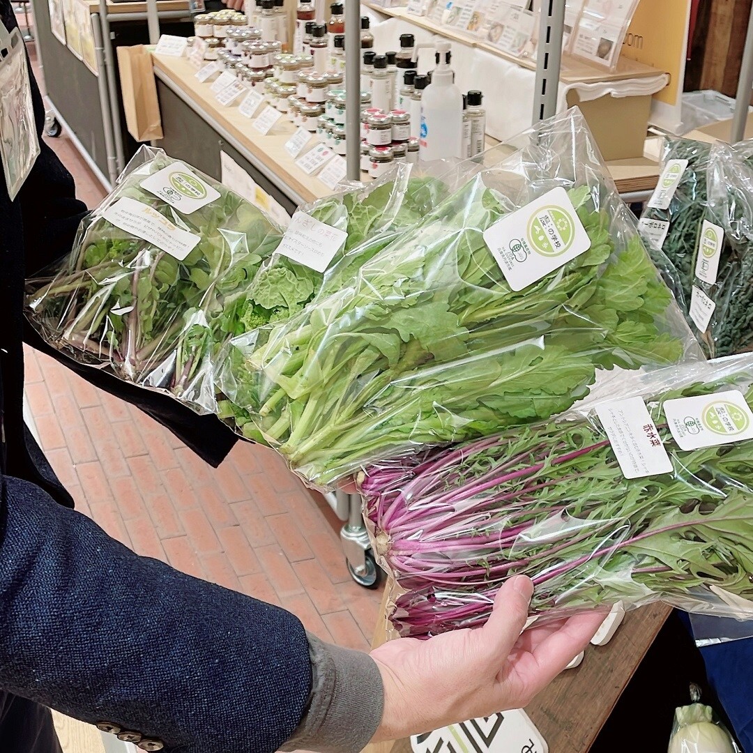 小山さんおすすめ