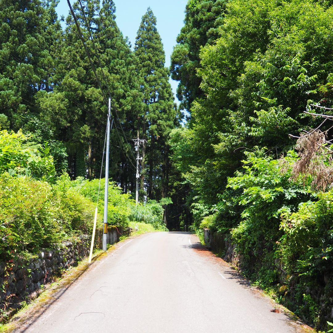 山
