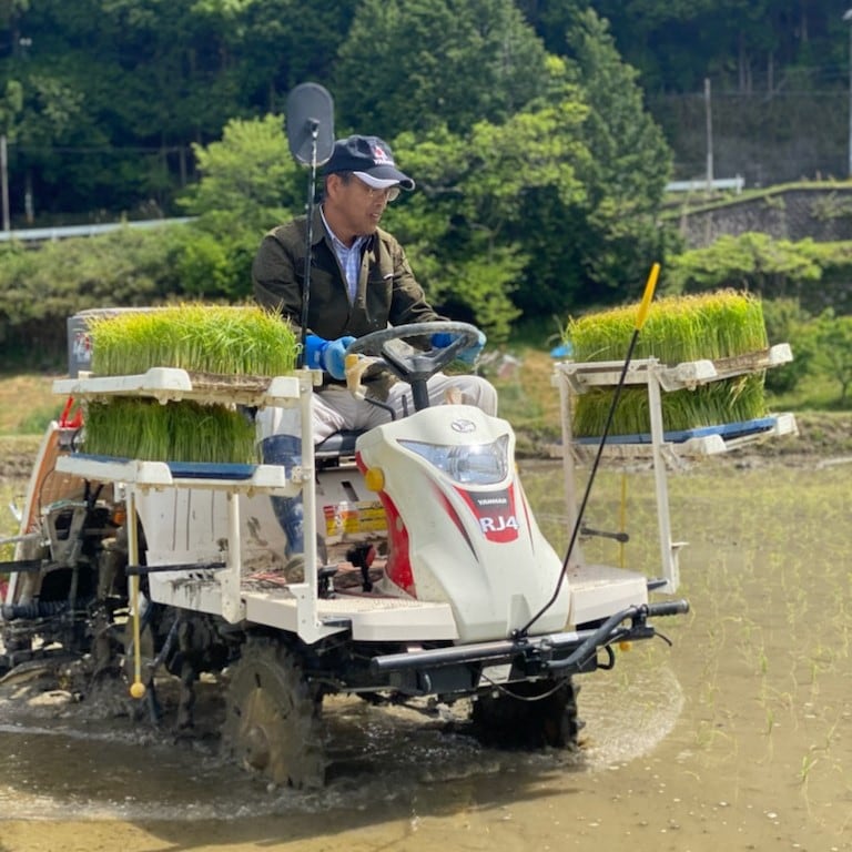 【堺北花田】豊かな自然が育む、おいしいお米