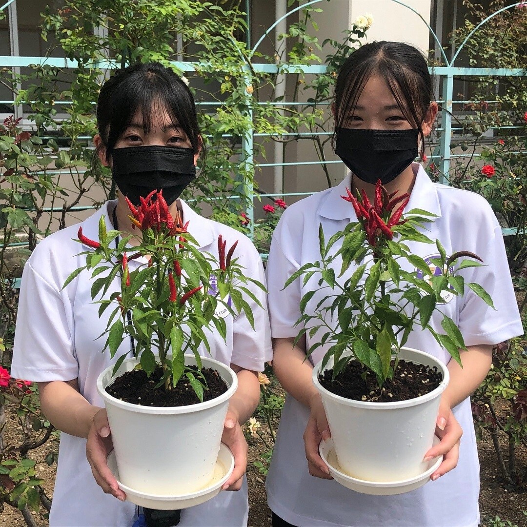 女子生徒