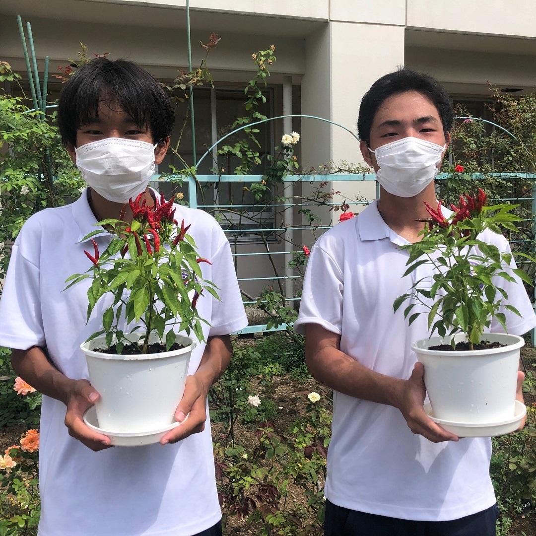 男子生徒