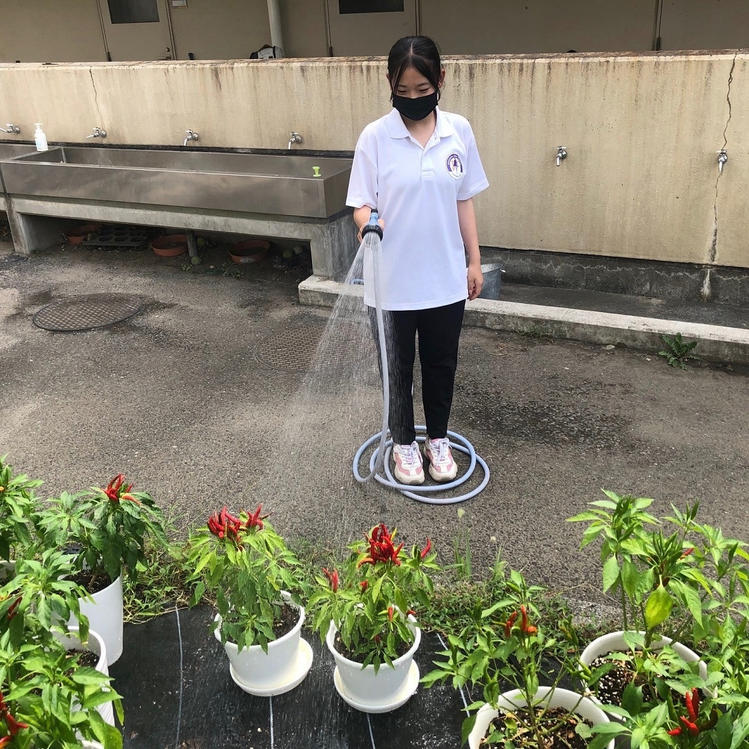 水まき
