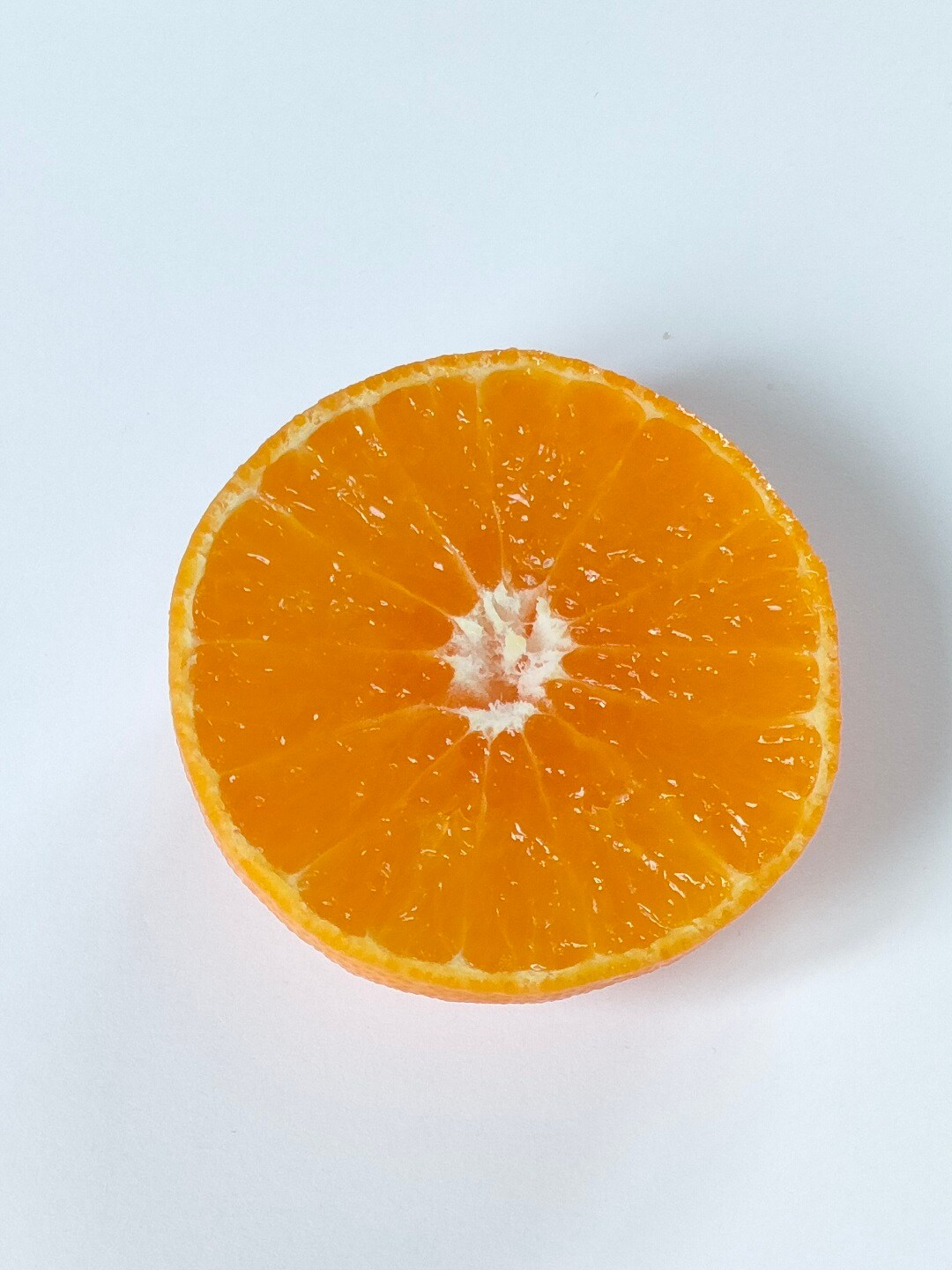 2021_1222_01_05