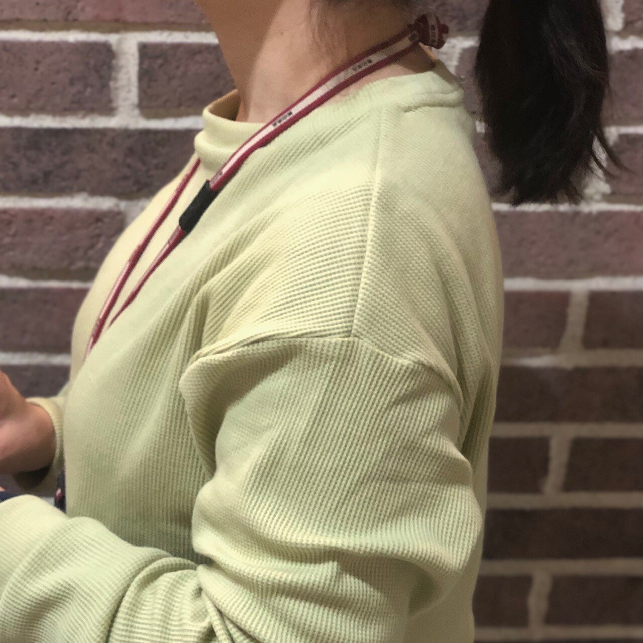 春物②