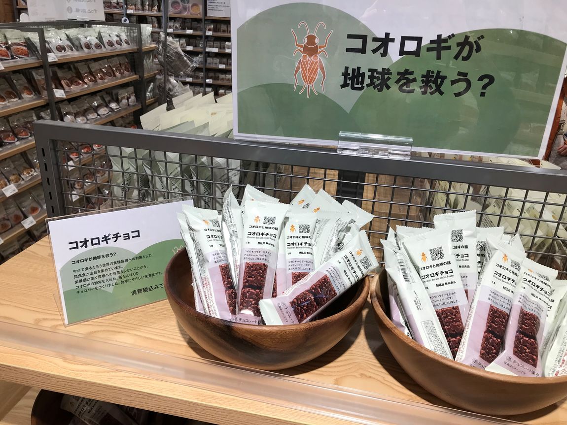 コオロギチョコ