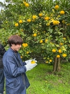 木下