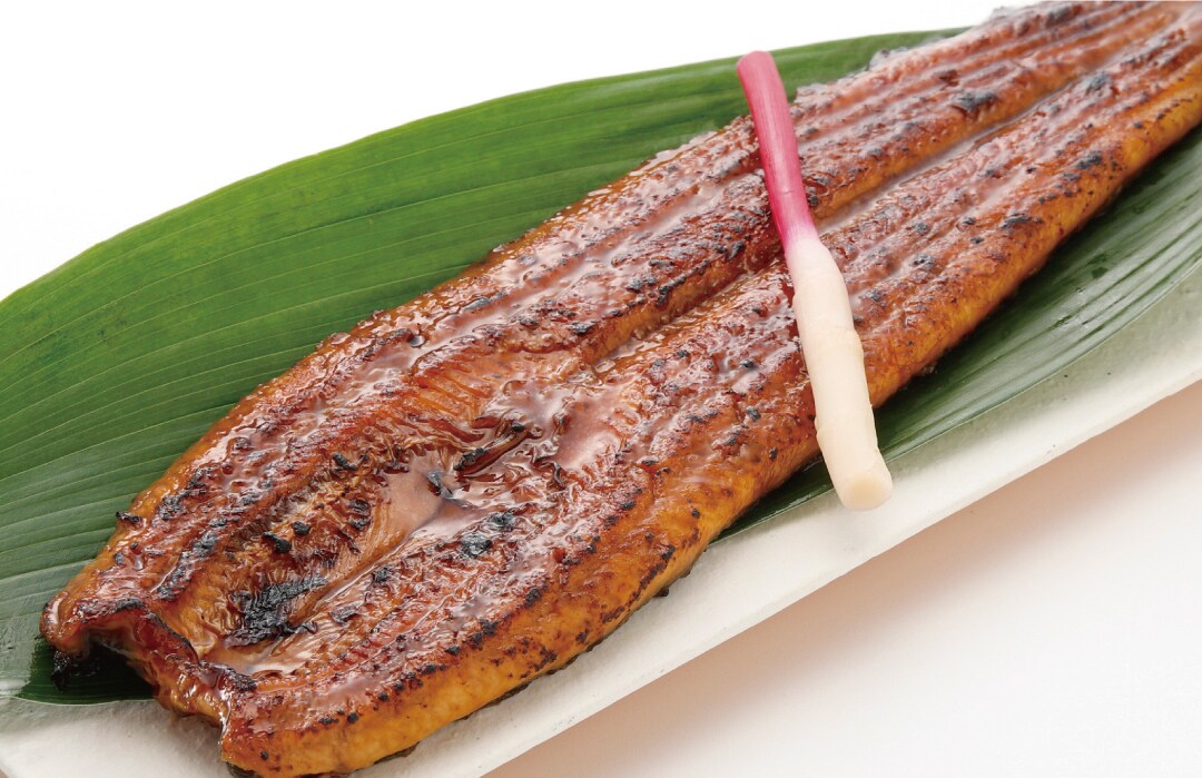 【堺北花田】うなぎを食べて元気に過ごそう