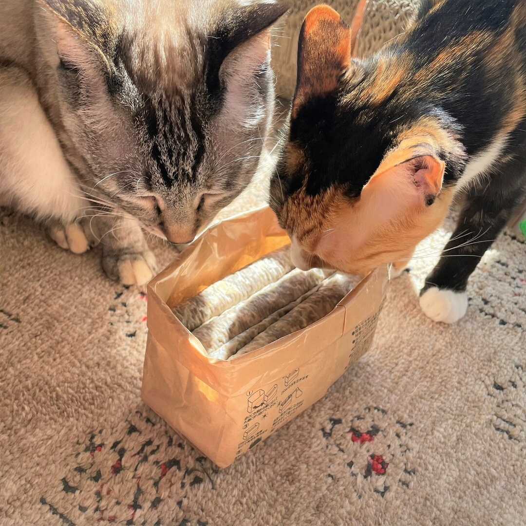 猫草