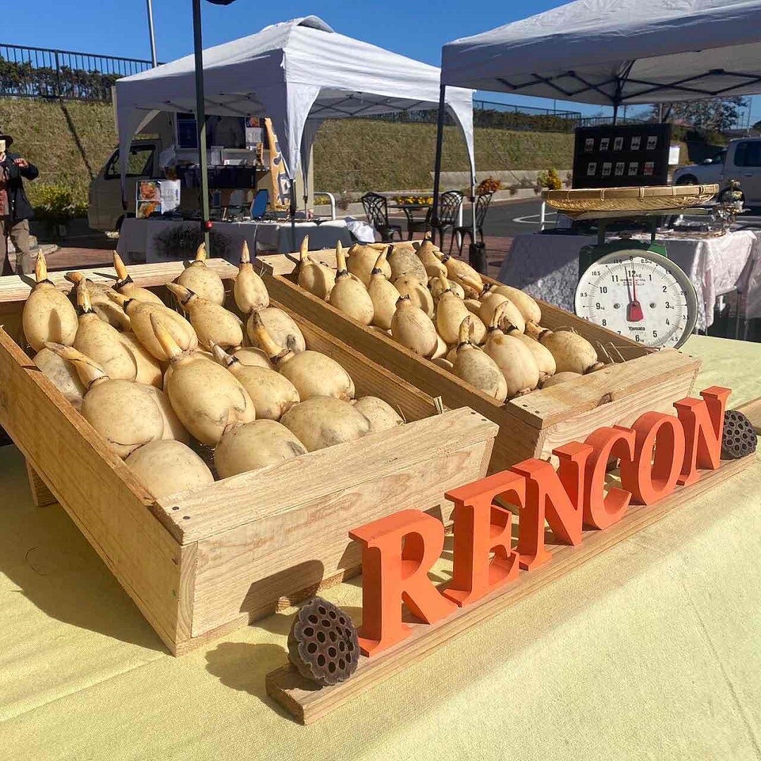 renkon