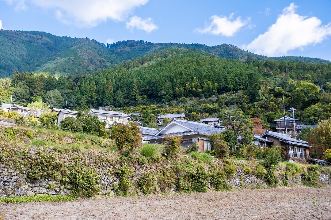 【京都山科】まるで太陽、水尾の柚子