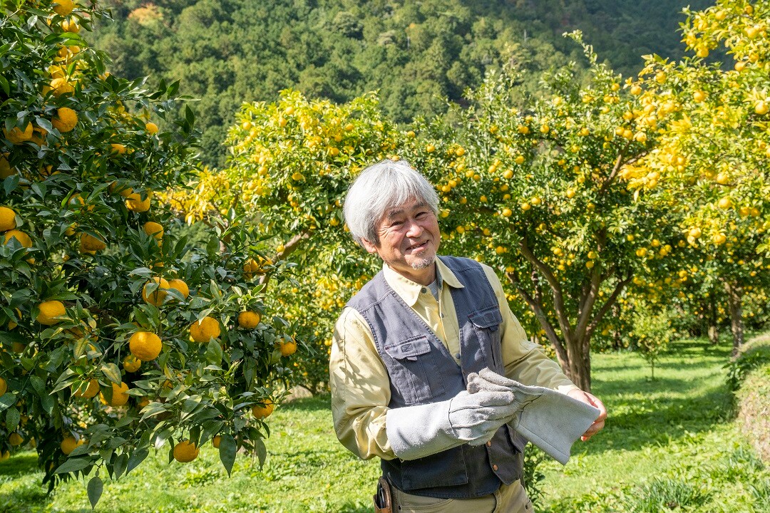 【京都山科】まるで太陽、水尾の柚子