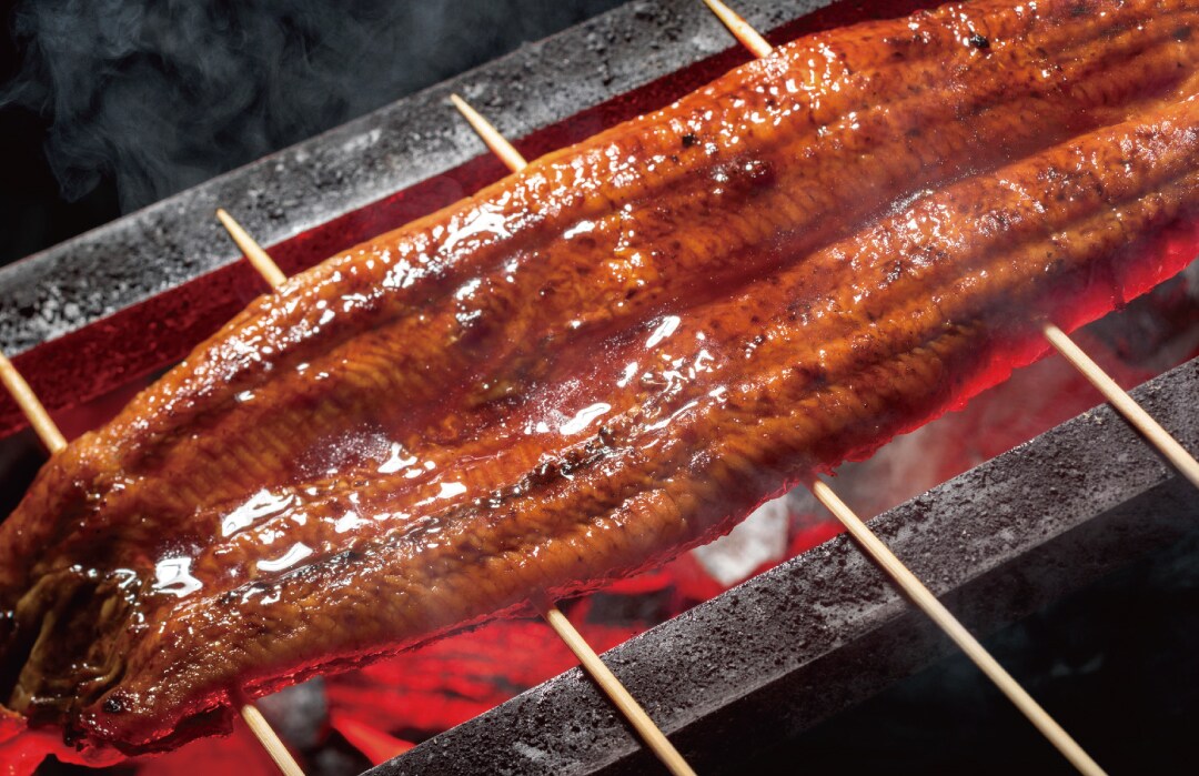 【堺北花田】うなぎを食べて元気に過ごそう