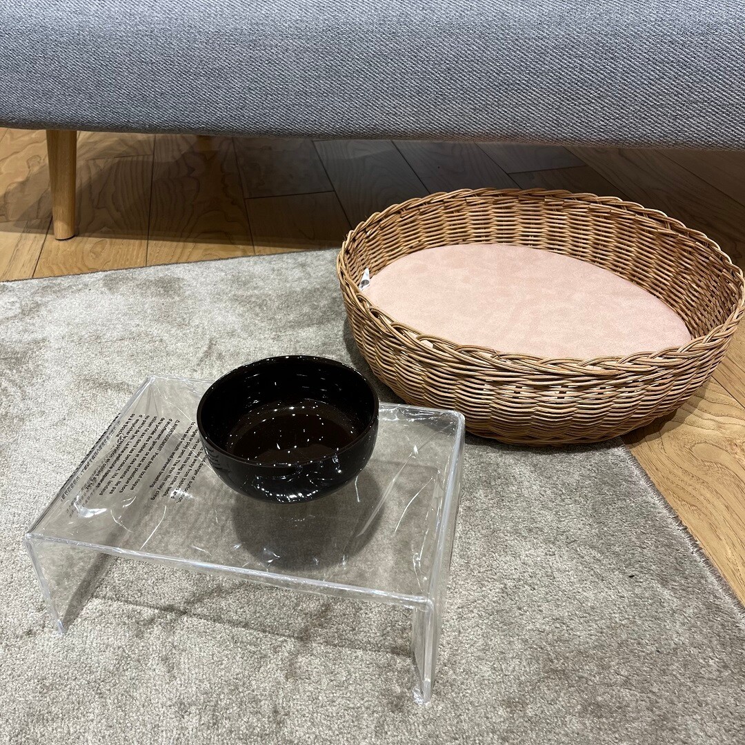 【イオンタウン姶良】