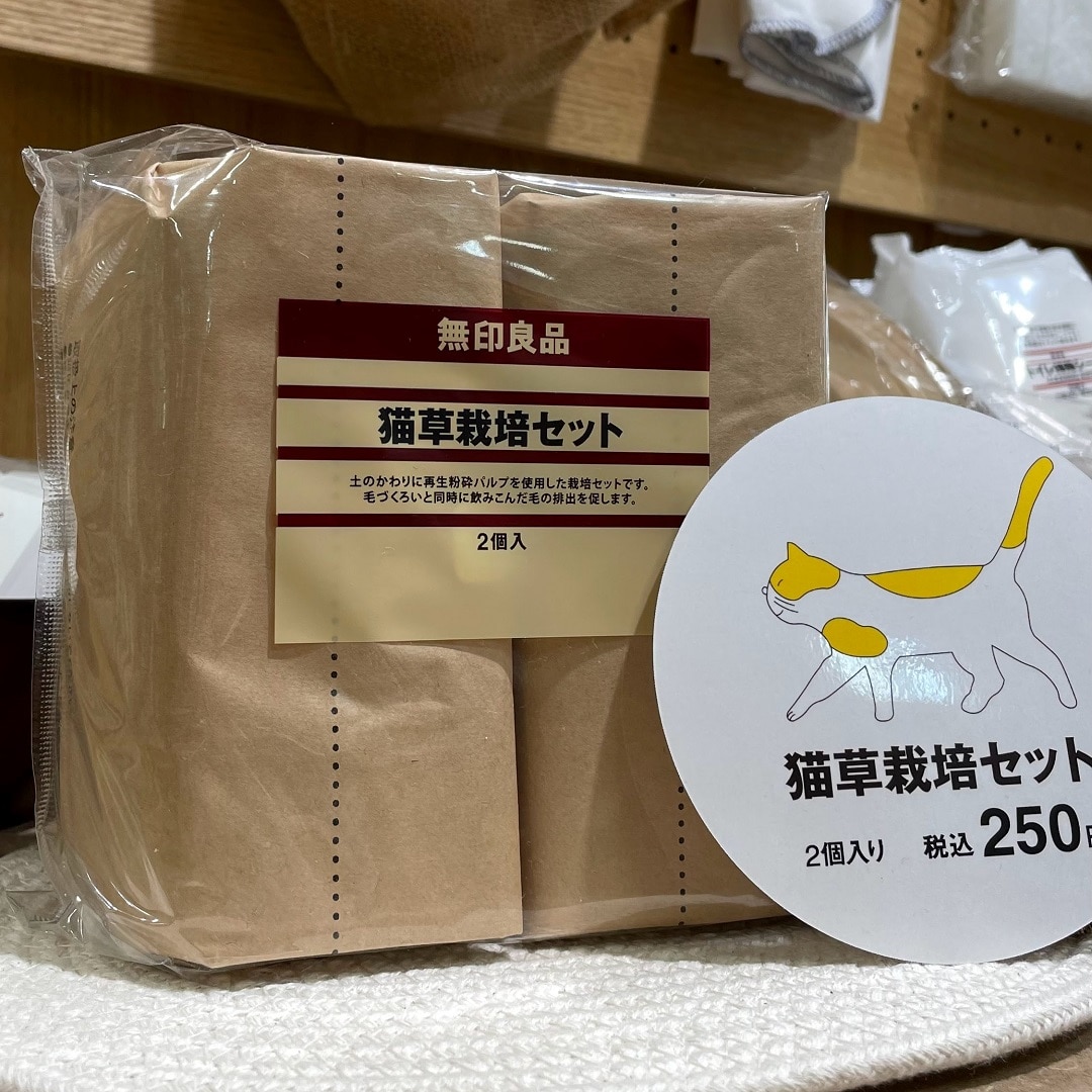 猫草栽培セット