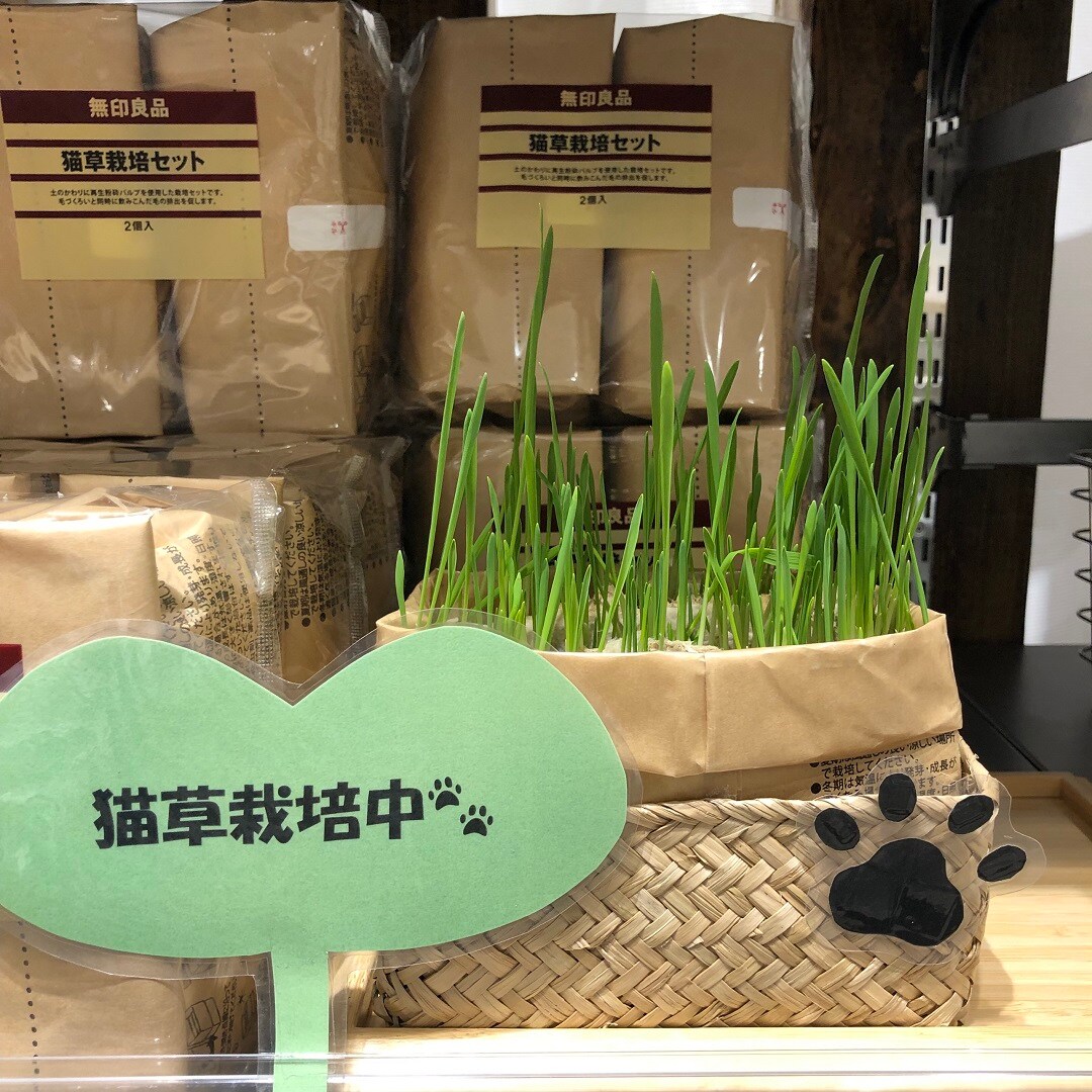 【イオンタウン姶良】