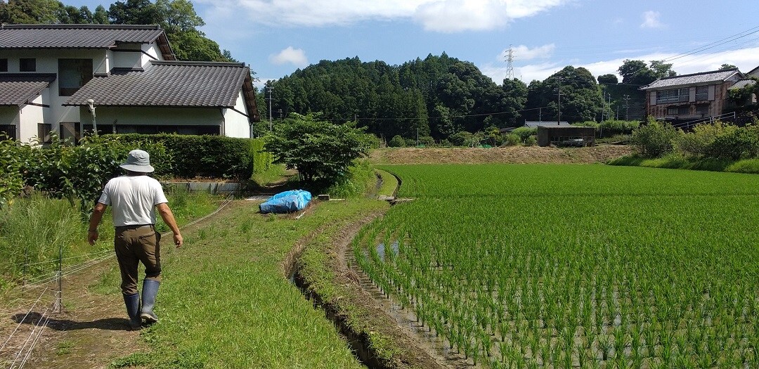やさいバス