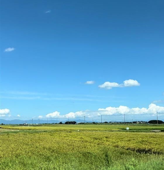 【ビバシティ彦根】近江八幡田園風景