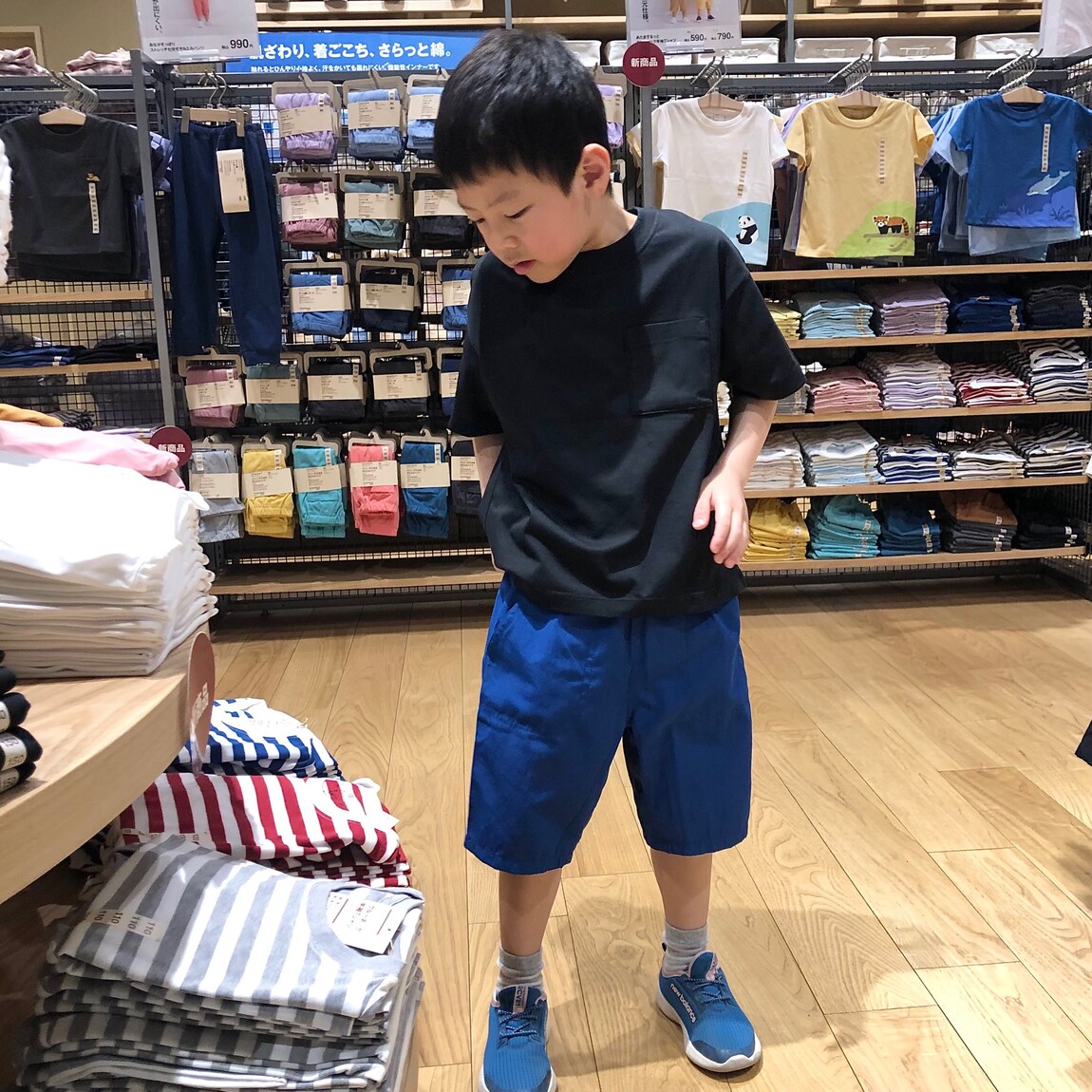 ｂ