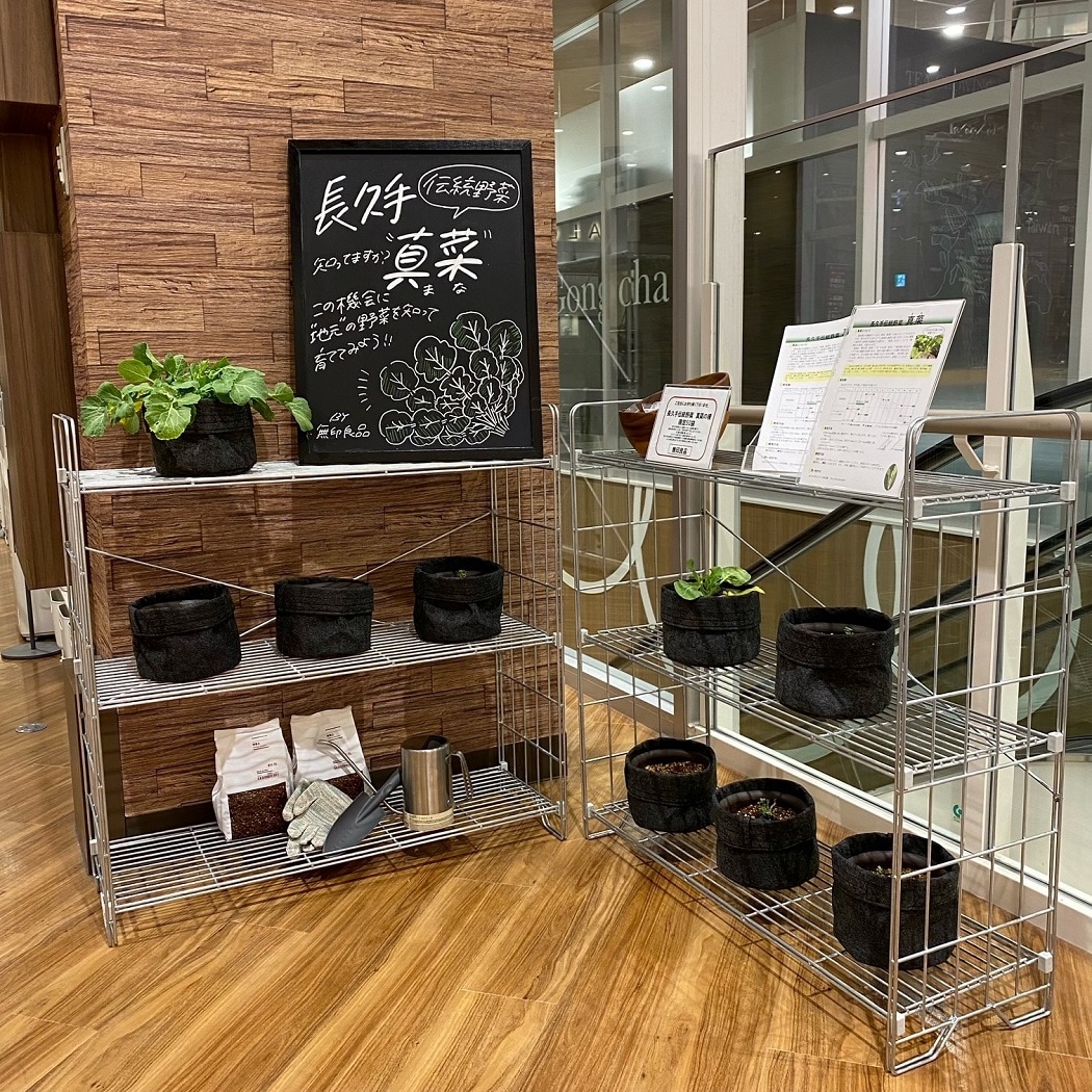 真菜展示