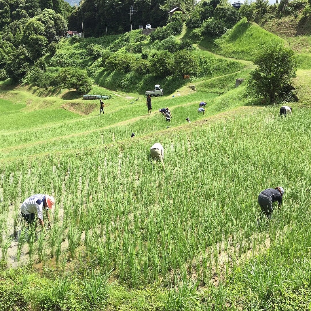 鴨川2