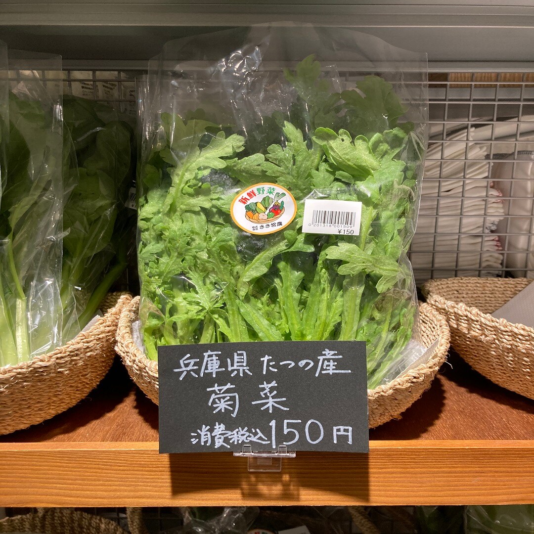 菊菜