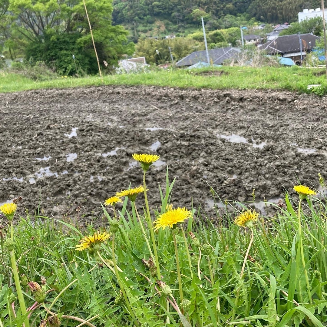 【港南台バーズ】食べるひとにおかげさま、育てるひとにおかげさま vol.10