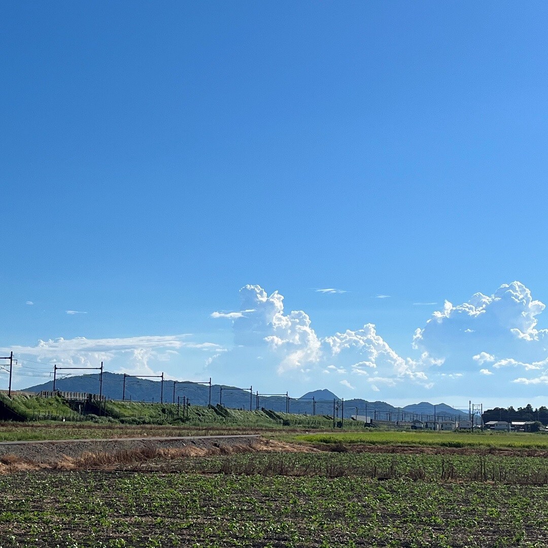 風景