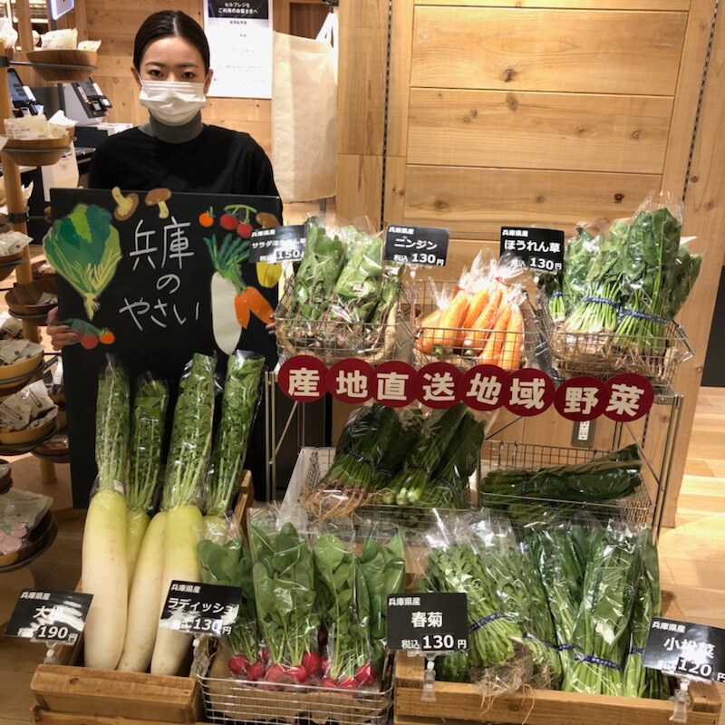 rejimae