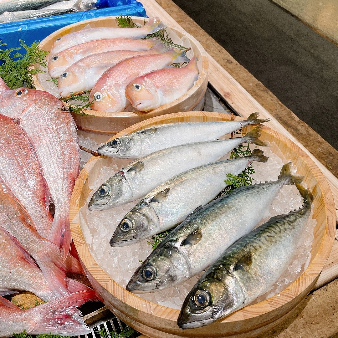 【堺北花田】今日は家族みんなでごちそうを｜鮮魚売場から