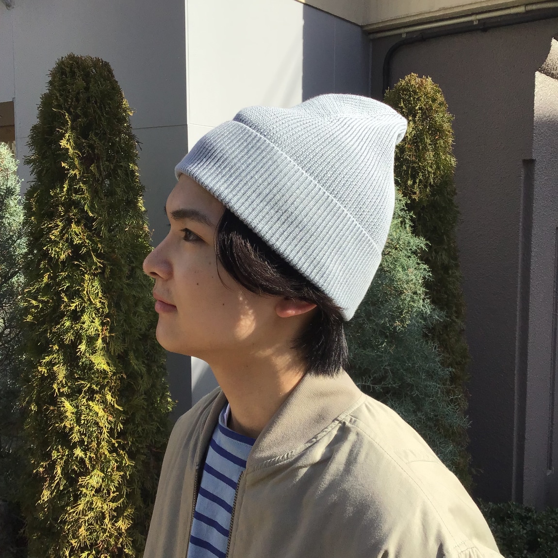紳士