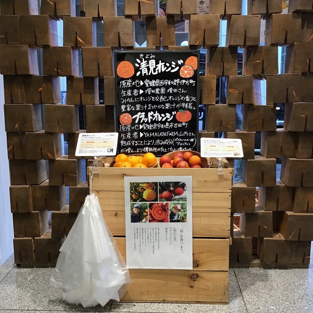 青果表紙