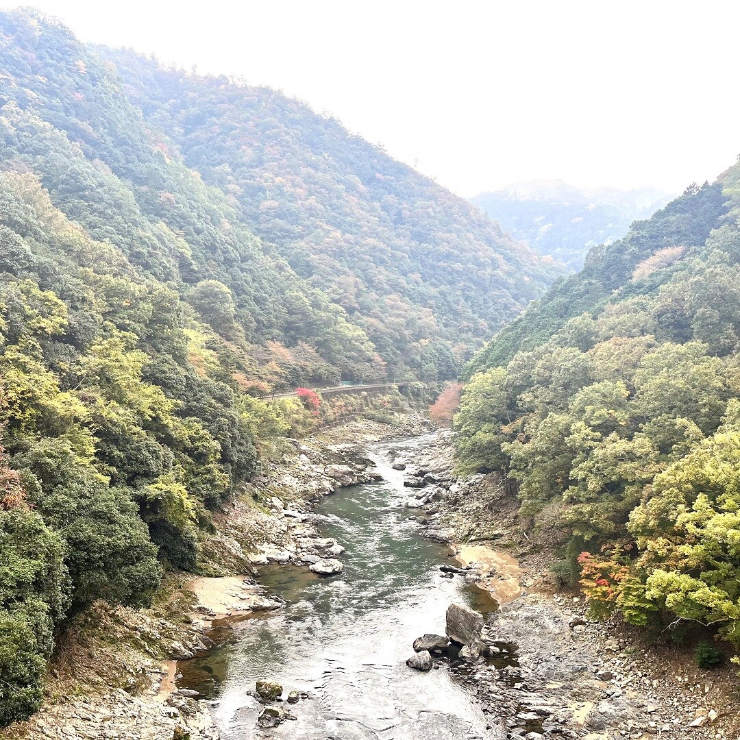 風景