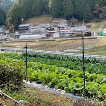 【堺北花田】豊かな自然が育む、おいしいお米