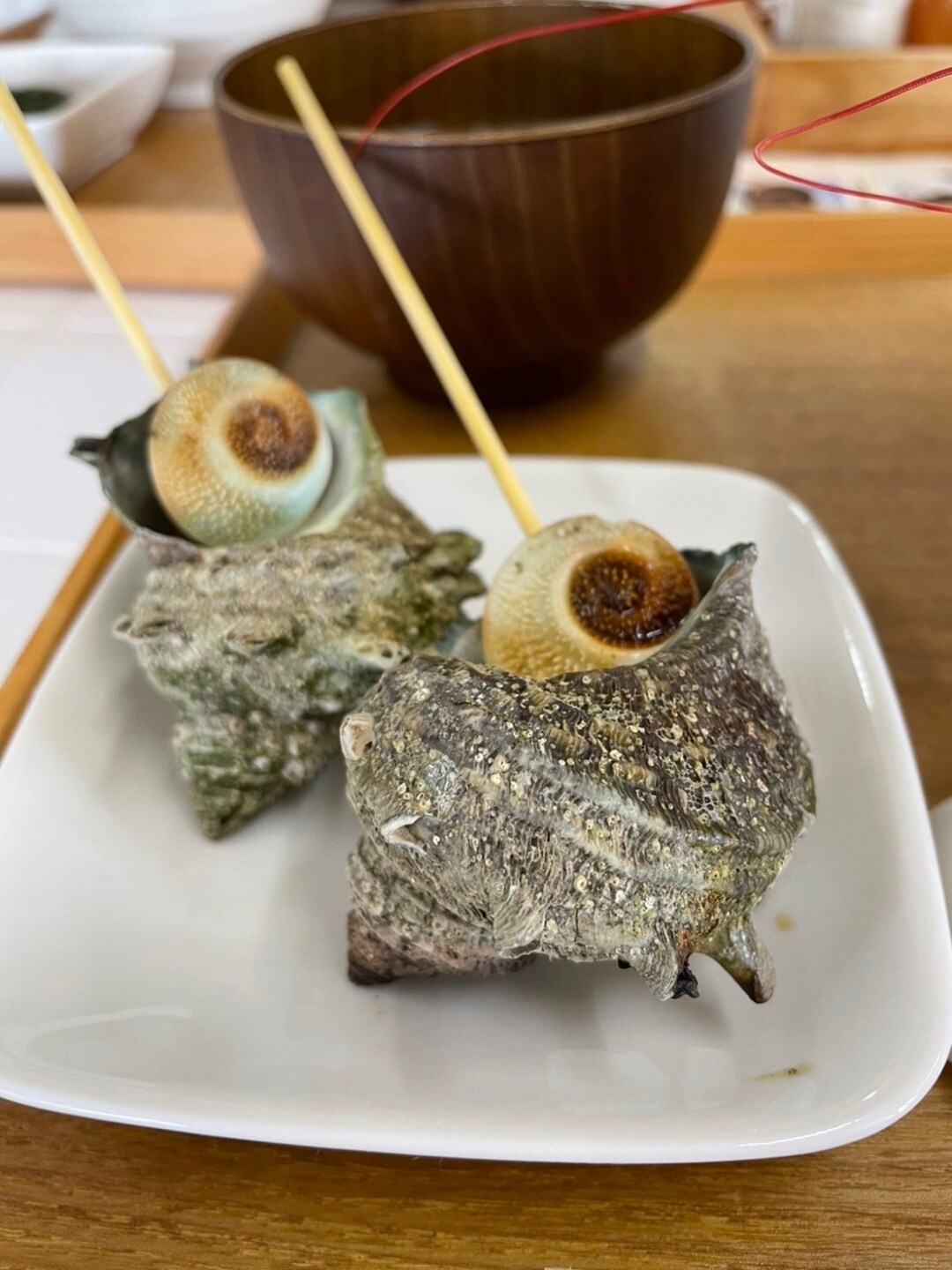 鵜ノ崎テラス