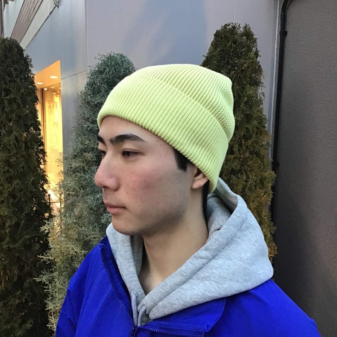 紳士