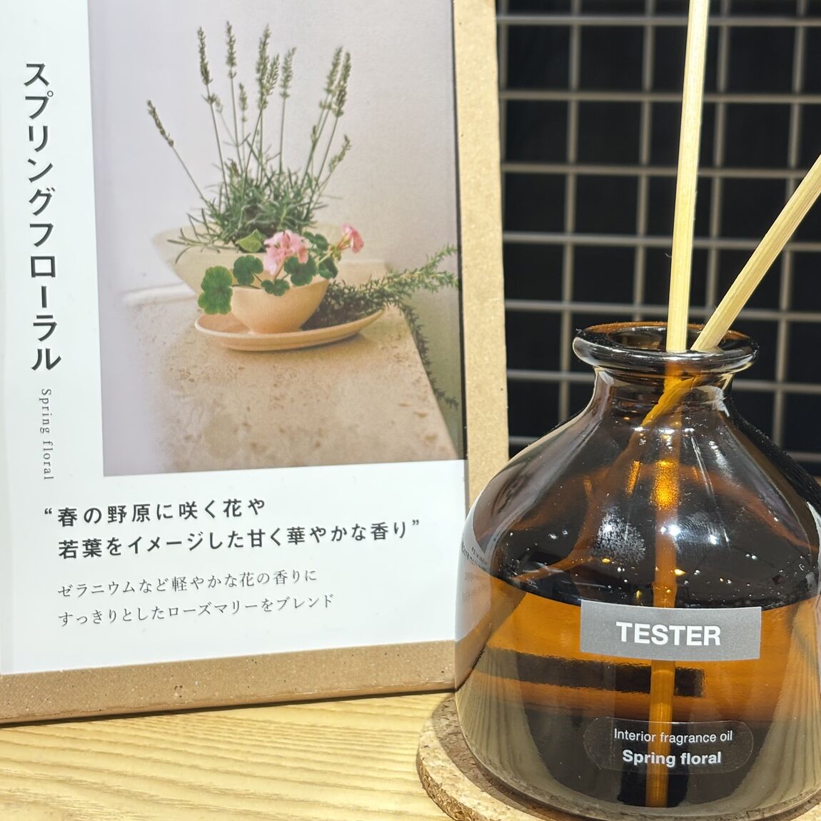 이미지-20260216-오전 83409-9a73a7a5