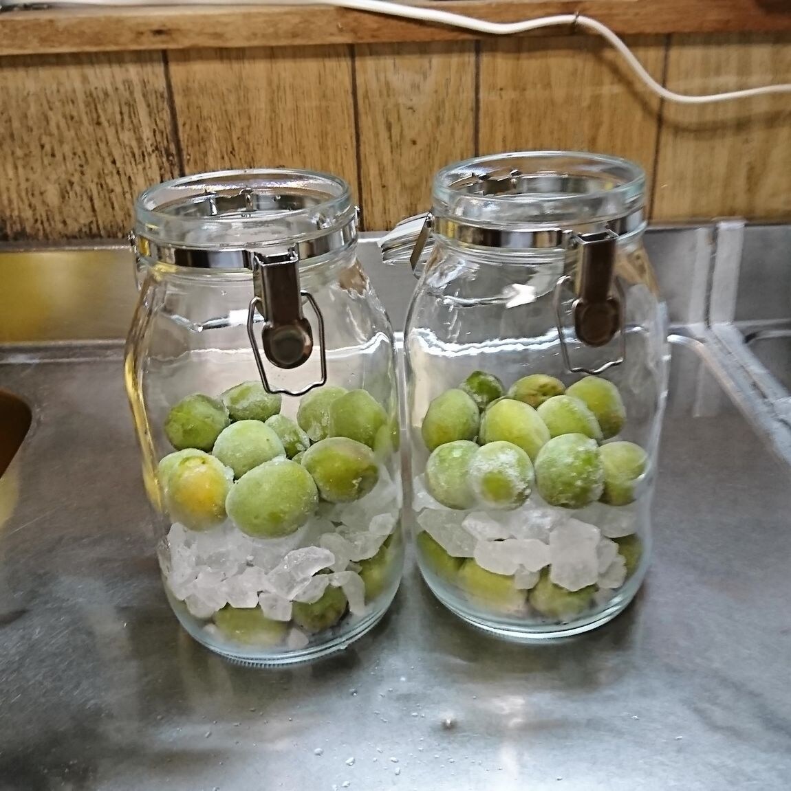 【富山ファボーレ】果実酒ビン2