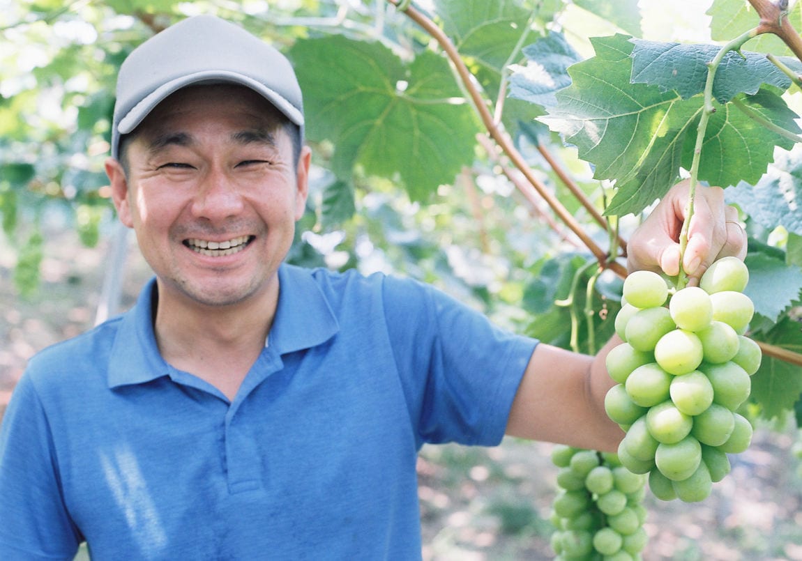 【堺北花田】小林さんのシャインマスカット、8月7日(金)入荷します｜青果売場から_65LnoC