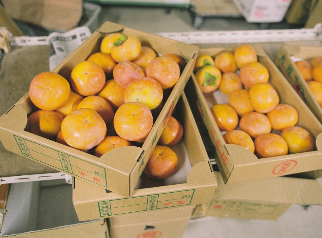 【京都山科】『大枝の柿』生産者さんが来てくれます｜周年市―おいしいに、ありがとう。