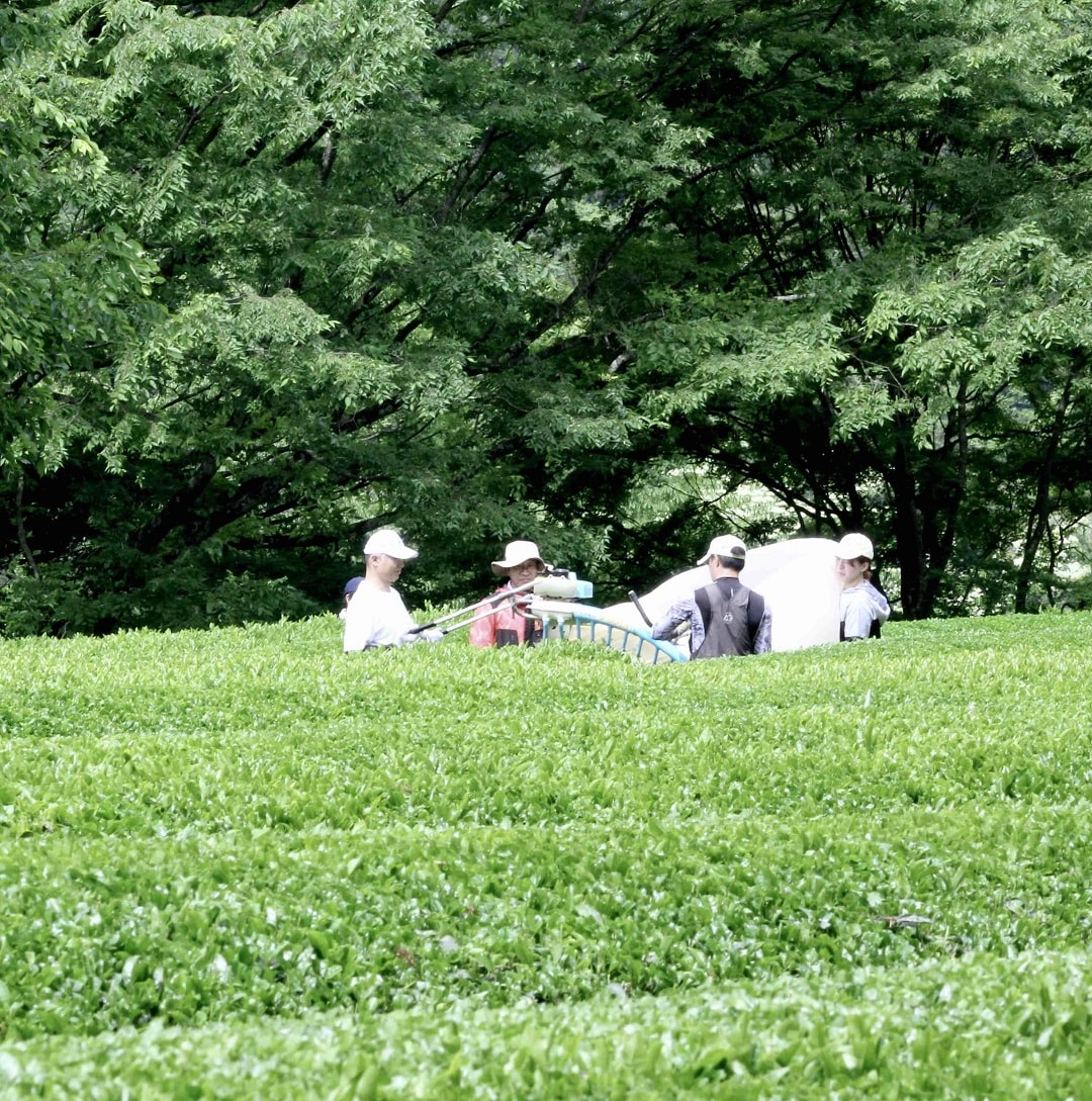 【ジョイナステラス二俣川】大山