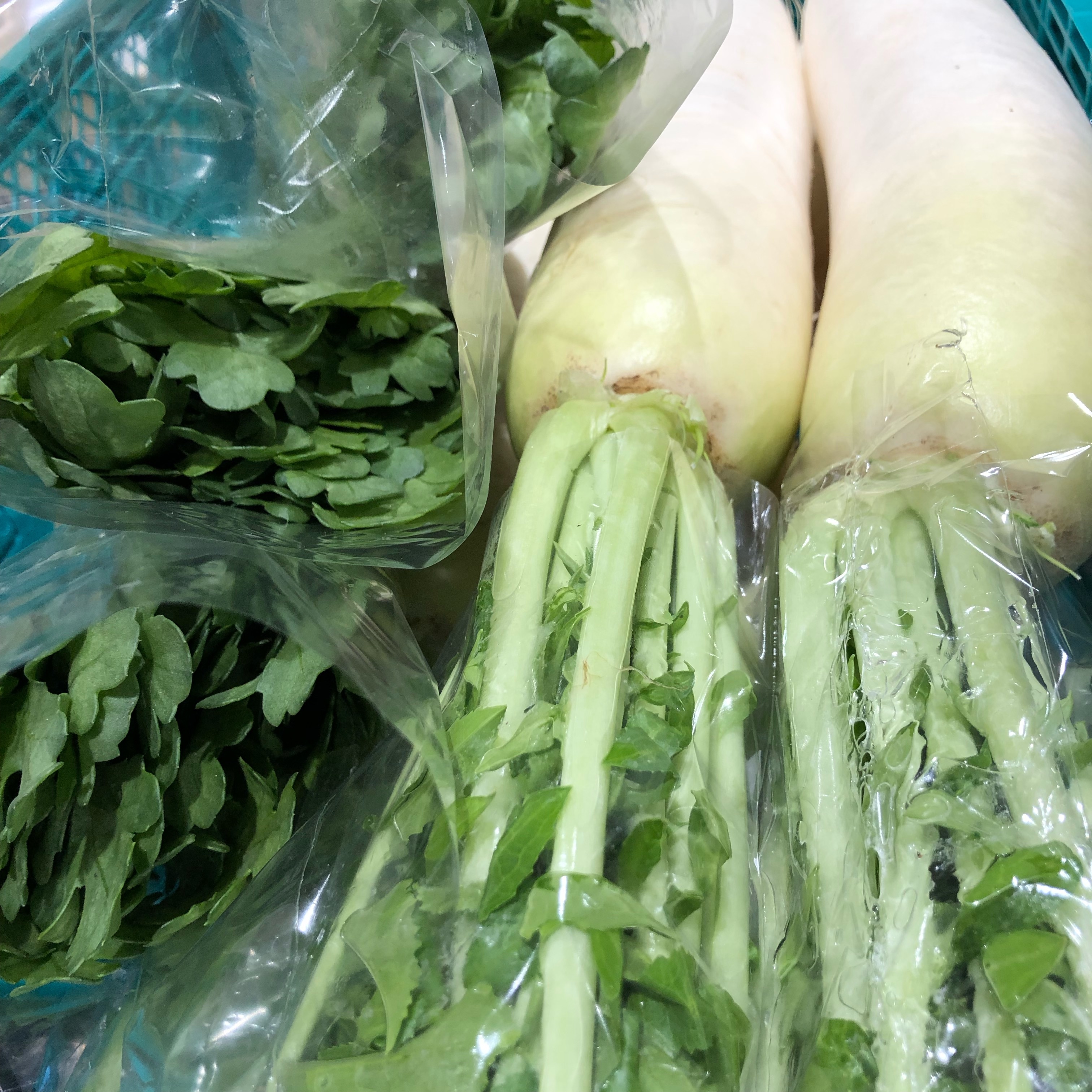daikon